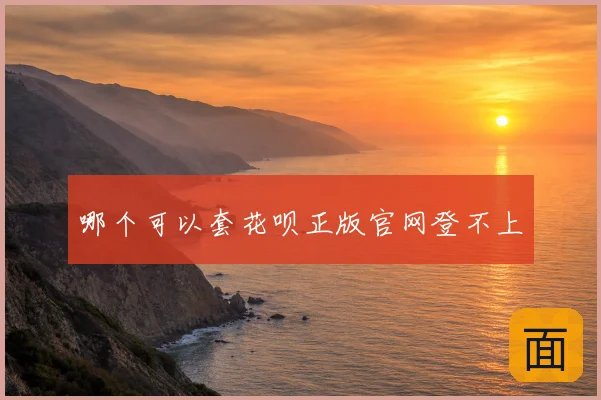 哪个可以套花呗正版官网登不上