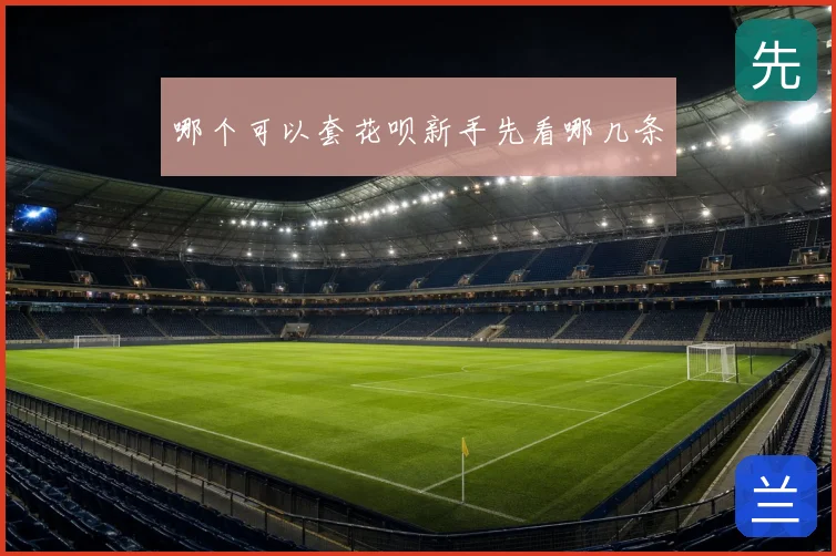 哪个可以套花呗新手先看哪几条