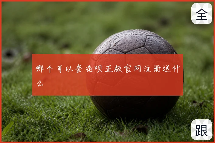 哪个可以套花呗正版官网注册送什么